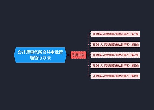 会计师事务所合并审批管理暂行办法