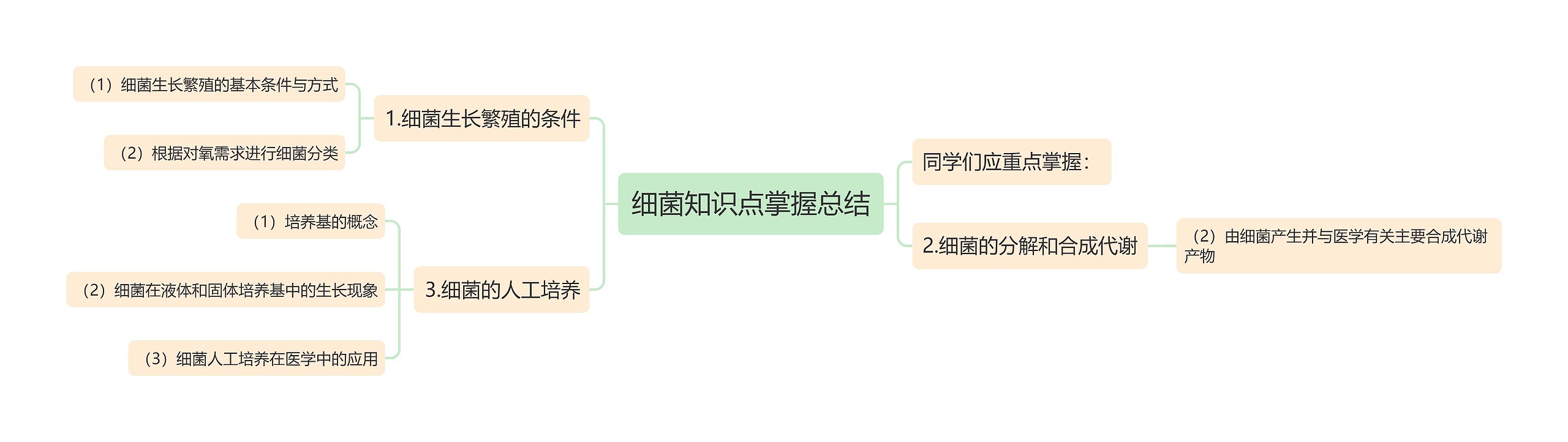 细菌知识点掌握总结思维导图