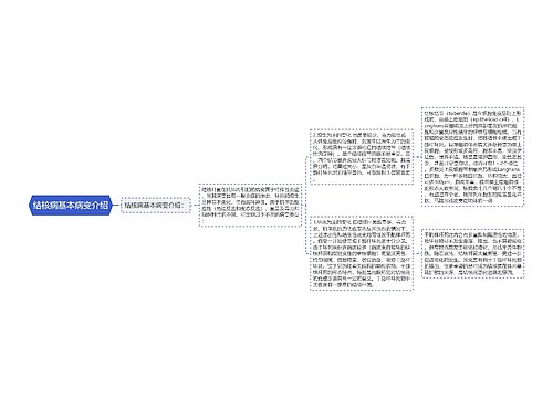 结核病基本病变介绍