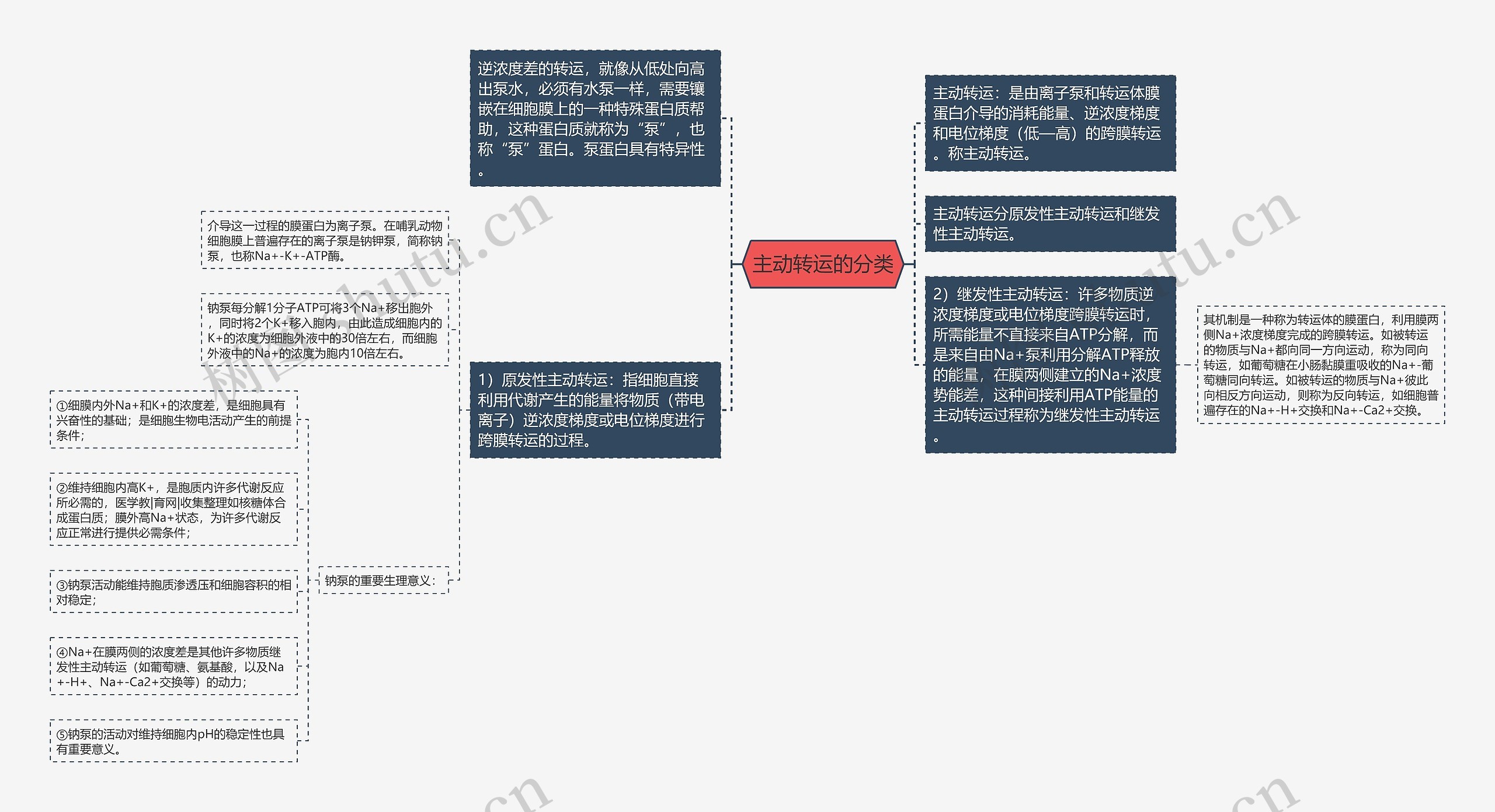 主动转运的分类思维导图