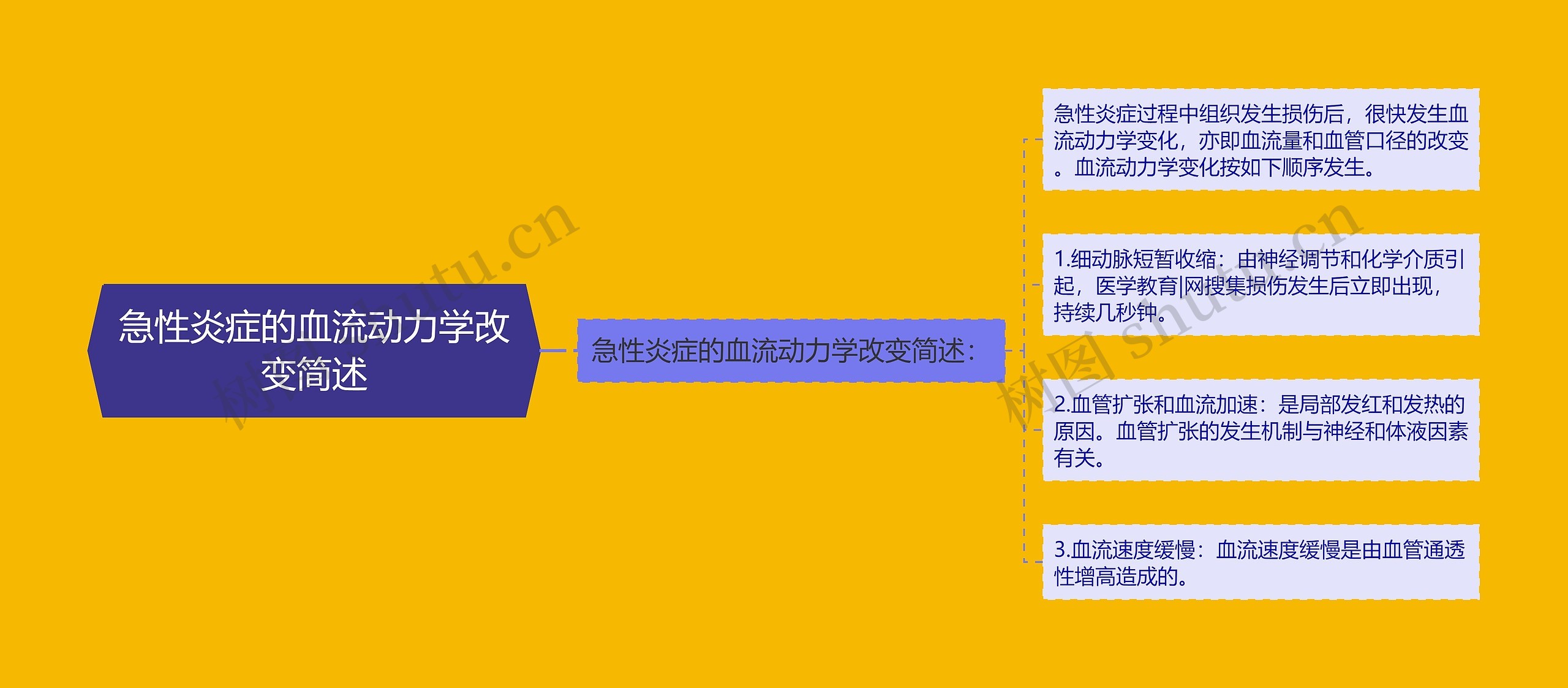 急性炎症的血流动力学改变简述