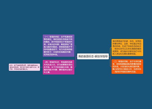 骨的表面标志-解剖学指导