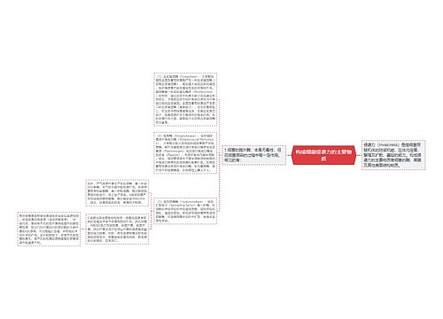 构成细菌侵袭力的主要物质