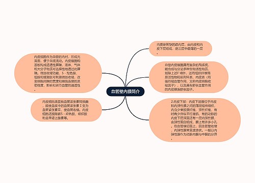 血管壁内膜简介