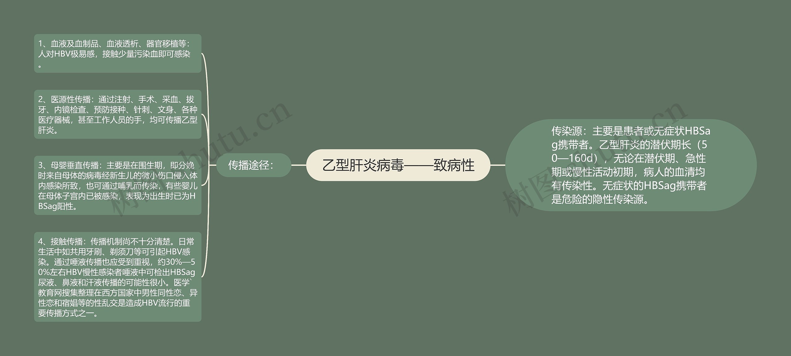 乙型肝炎病毒——致病性 乙型肝炎病毒——致病性