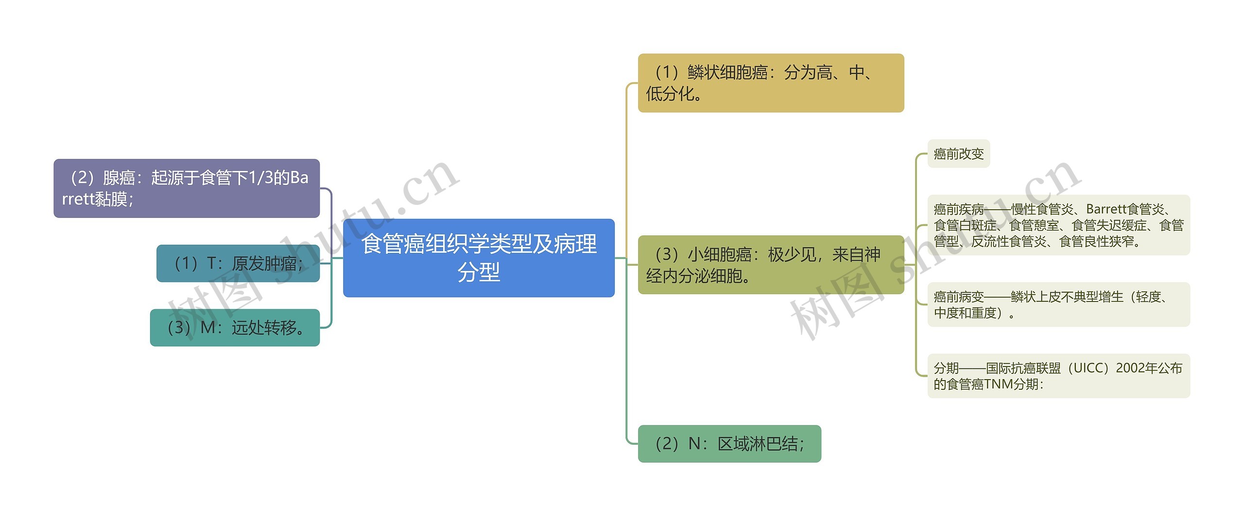 食管癌组织学类型及病理分型思维导图