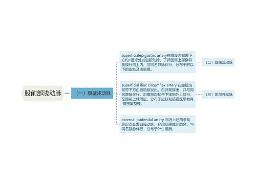 股前部浅动脉