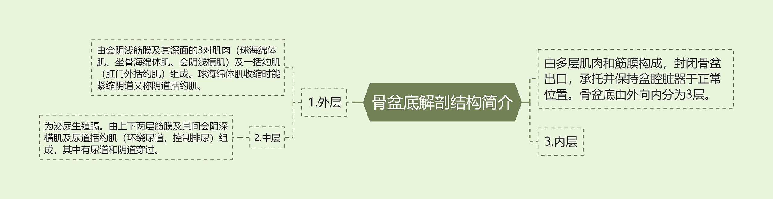 骨盆底解剖结构简介 骨盆底解剖结构简介