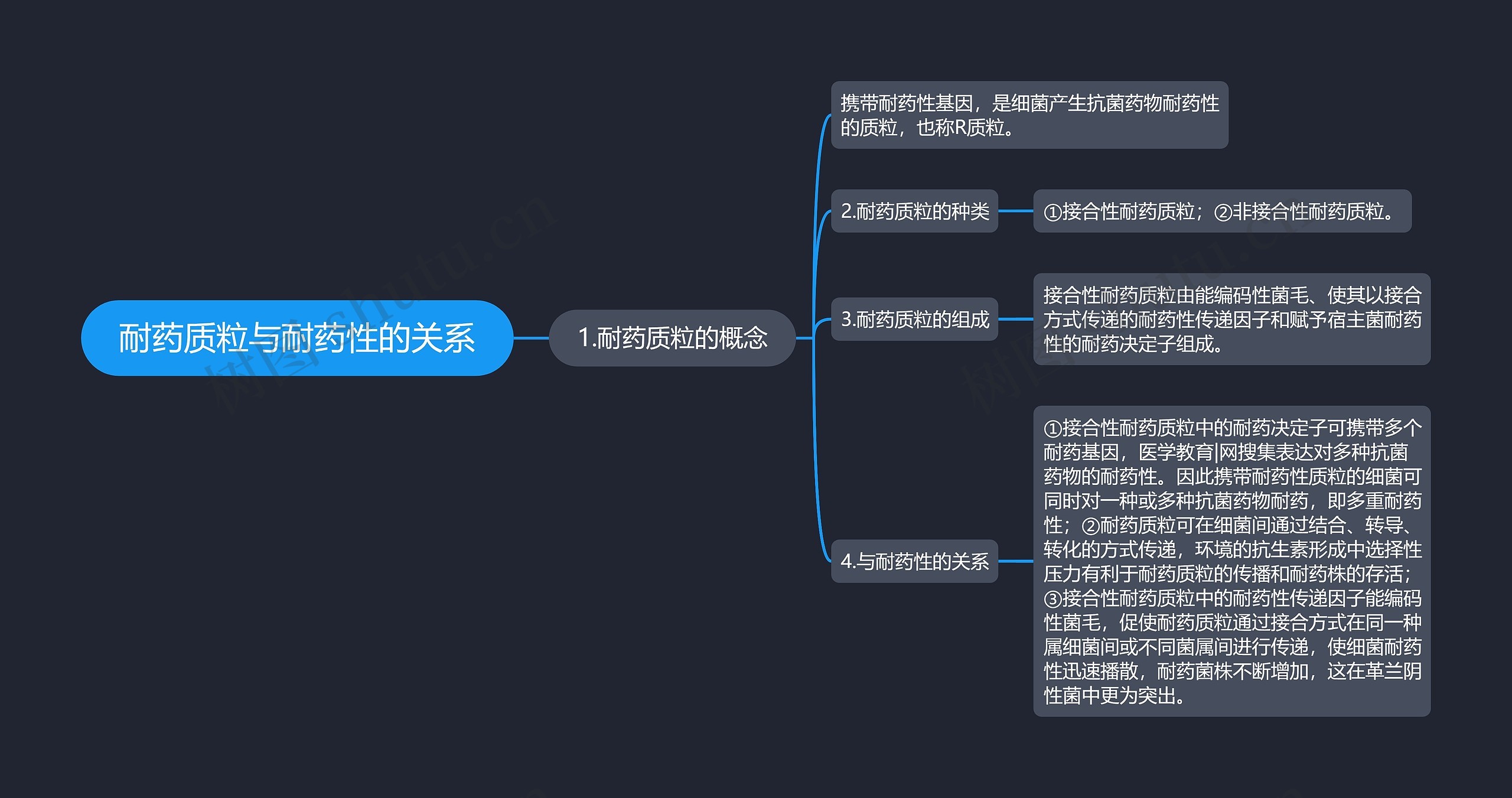 耐药质粒与耐药性的关系思维导图