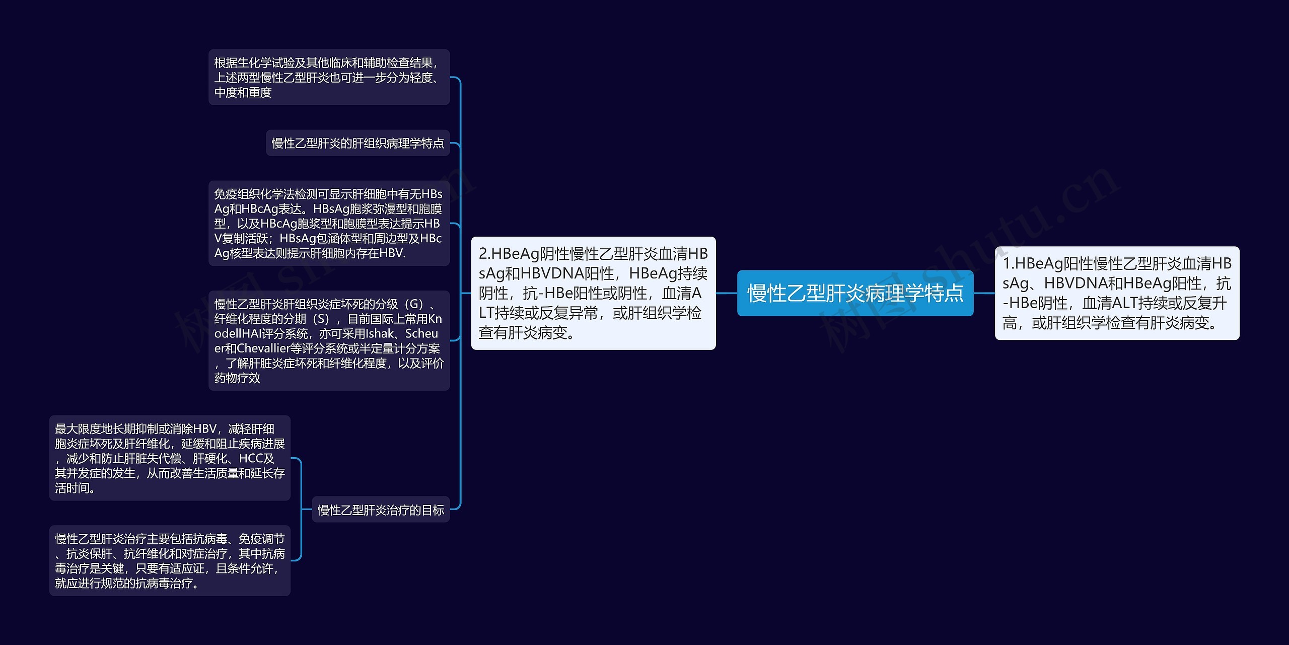 慢性乙型肝炎病理学特点思维导图