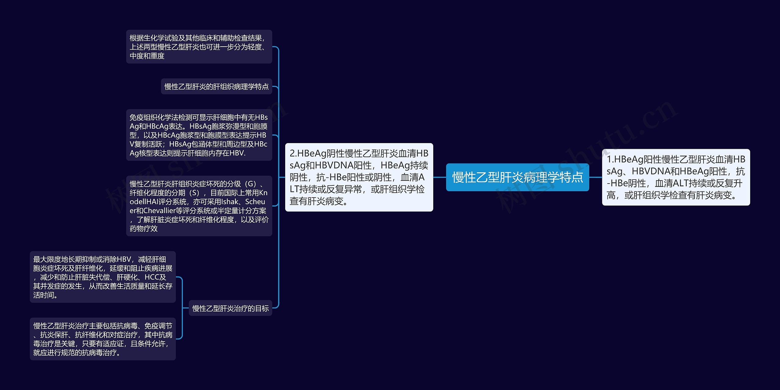 慢性乙型肝炎病理学特点 慢性乙型肝炎病理学特点