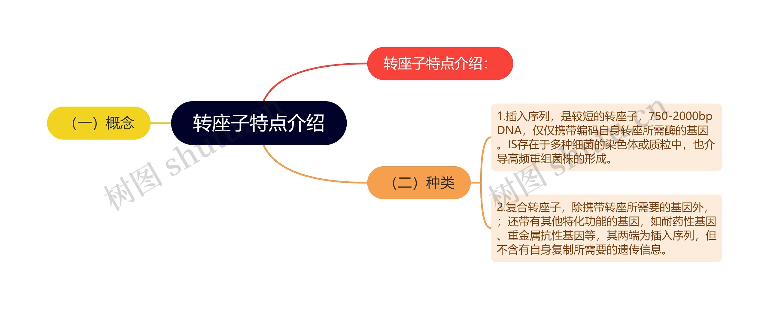 转座子特点介绍思维导图