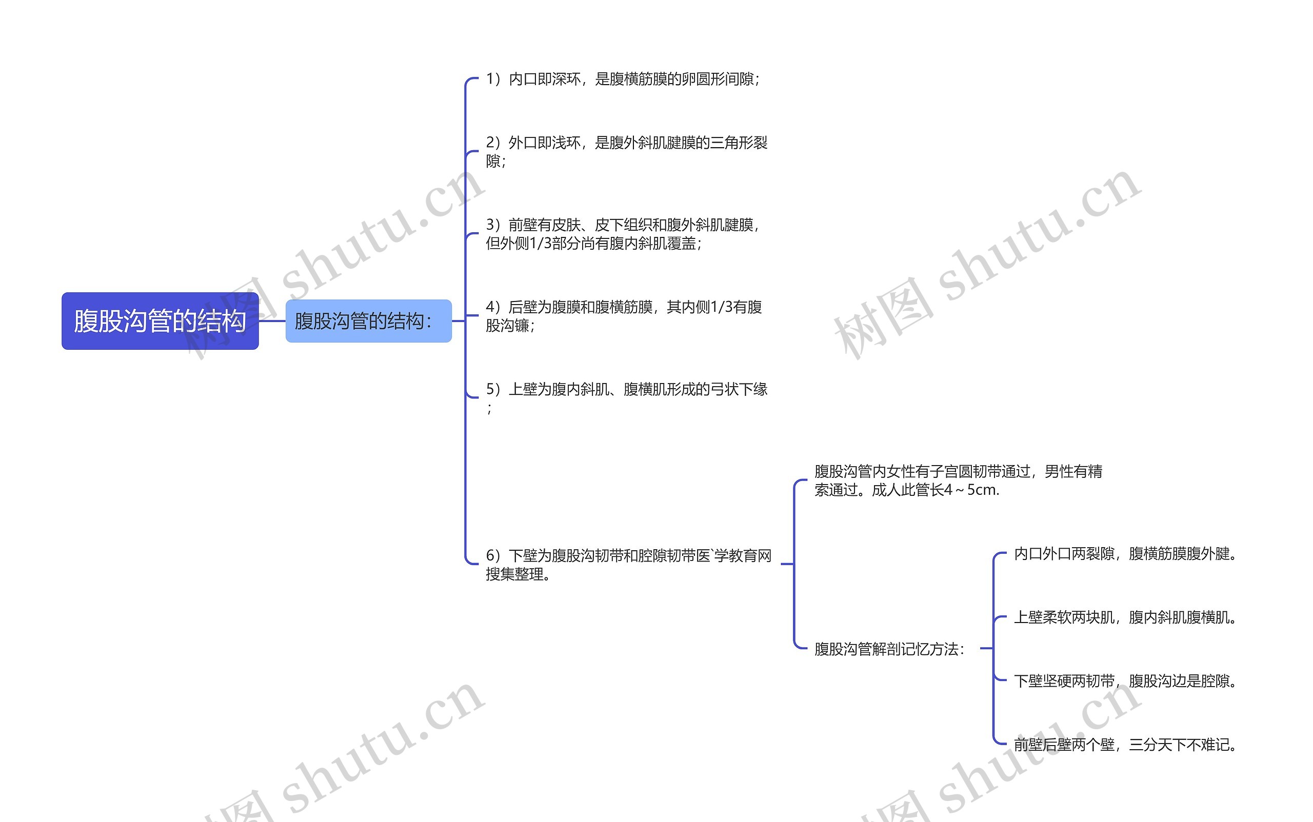 腹股沟管的结构思维导图