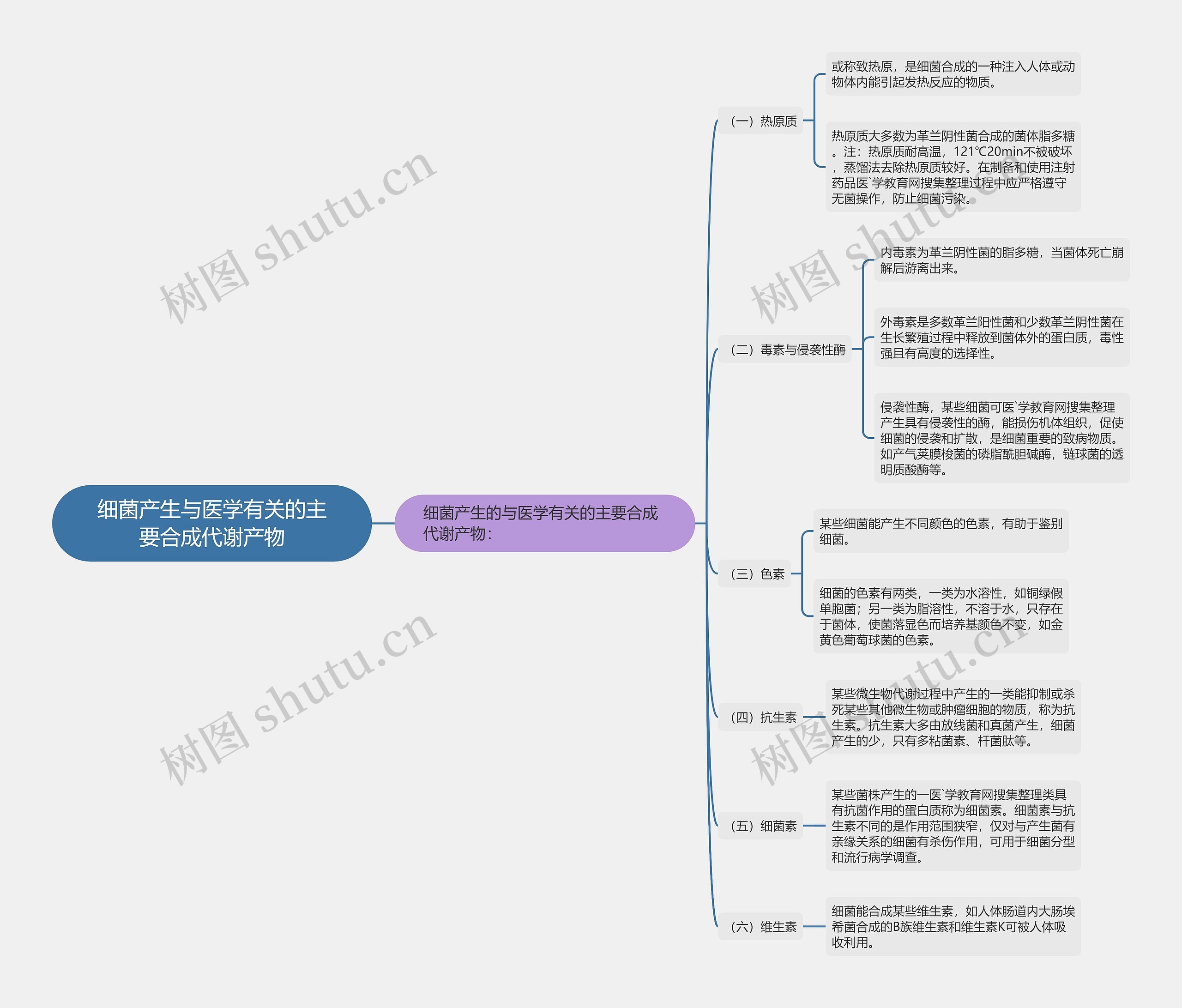 细菌产生与医学有关的主要合成代谢产物思维导图