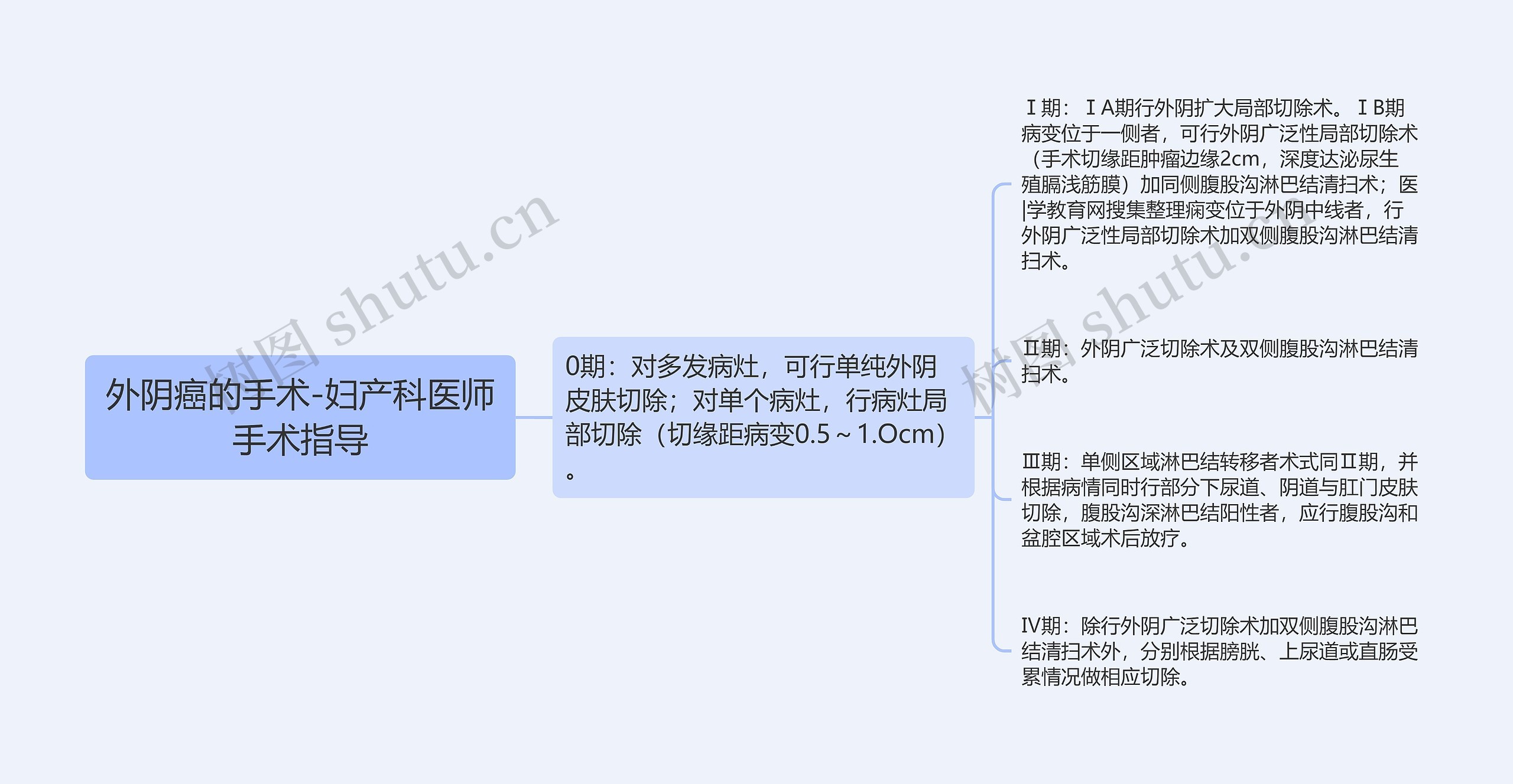 外阴癌的手术-妇产科医师手术指导