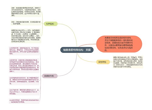 细菌表面特殊结构：荚膜