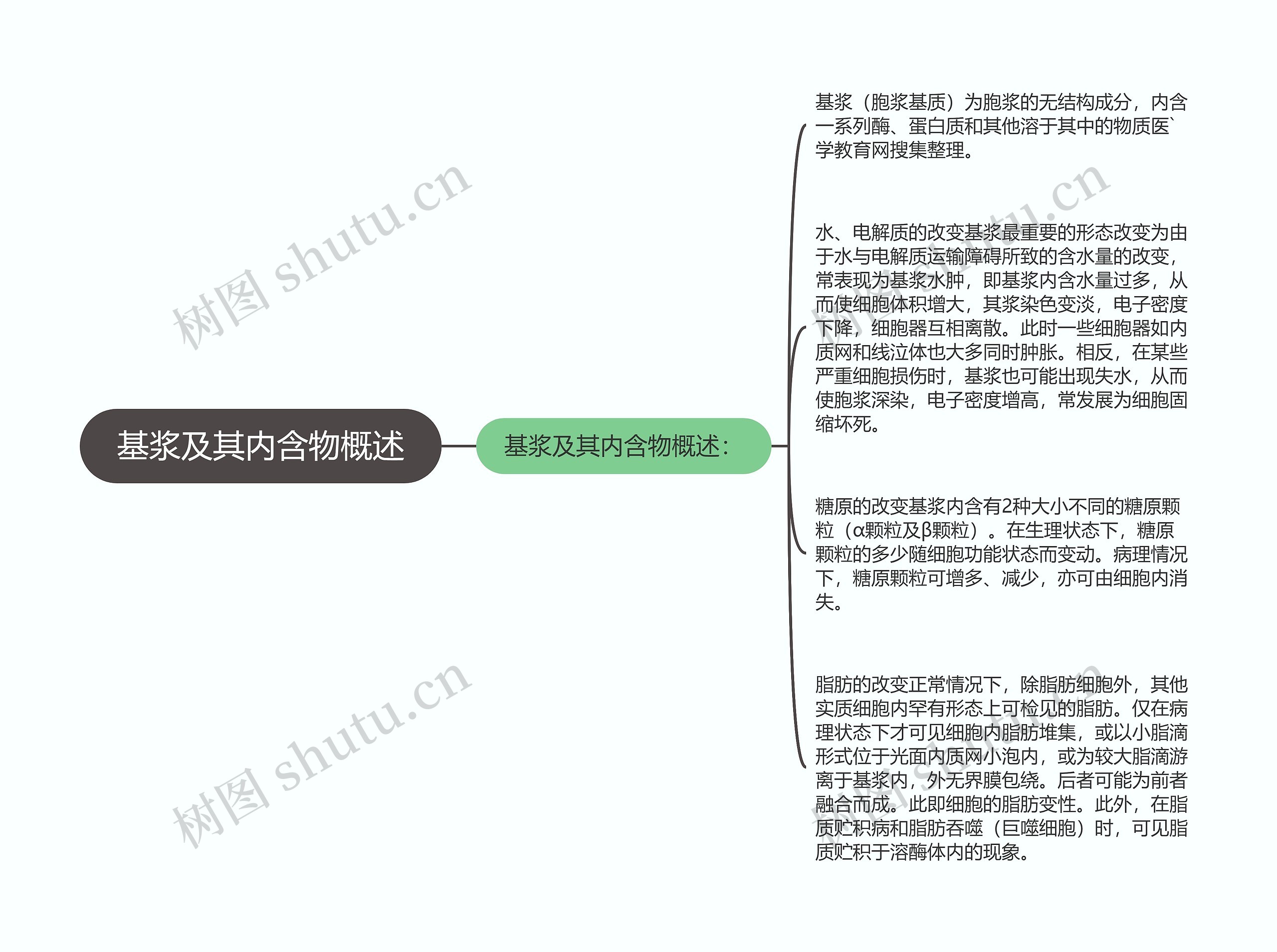 基浆及其内含物概述