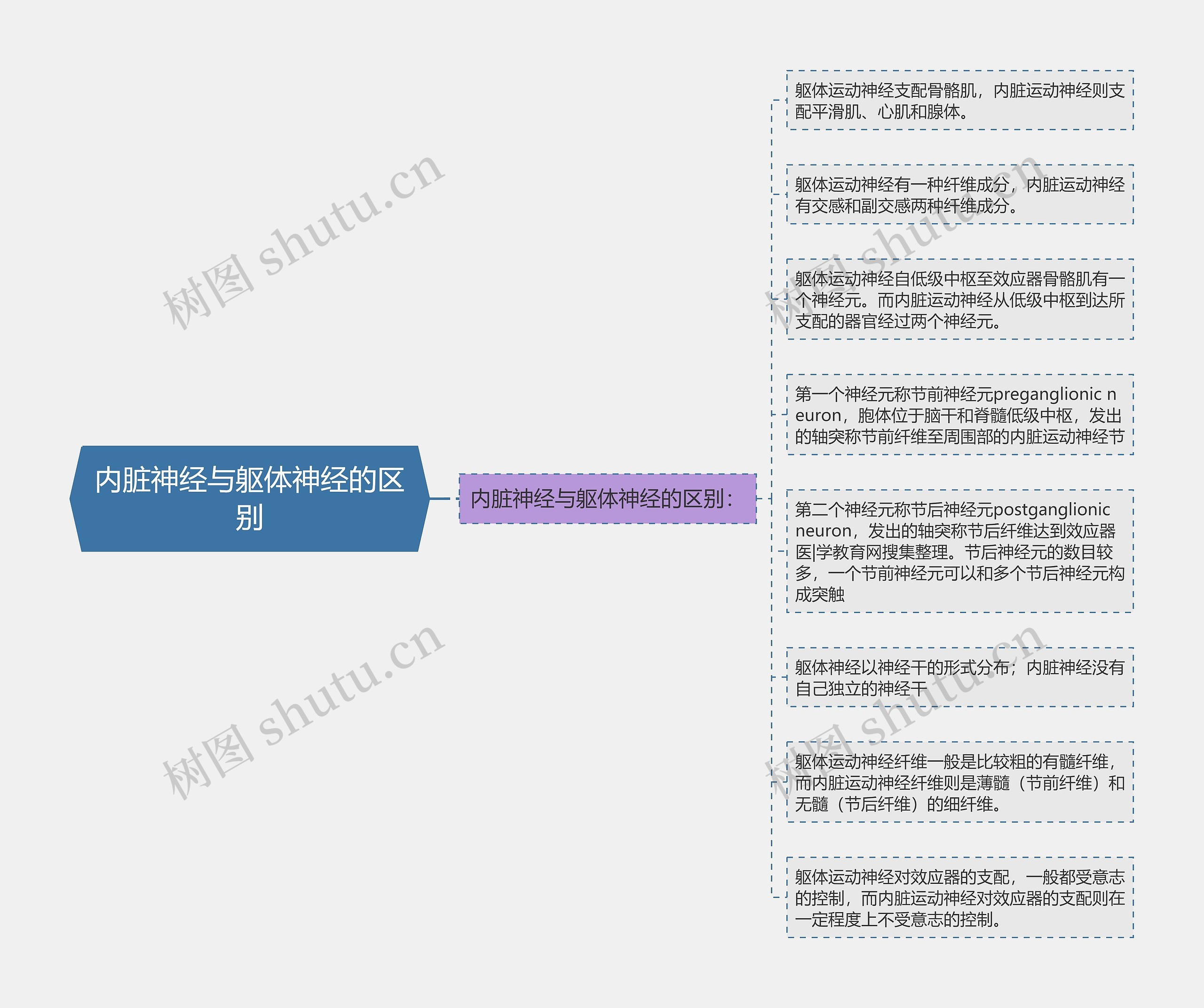 内脏神经与躯体神经的区别思维导图