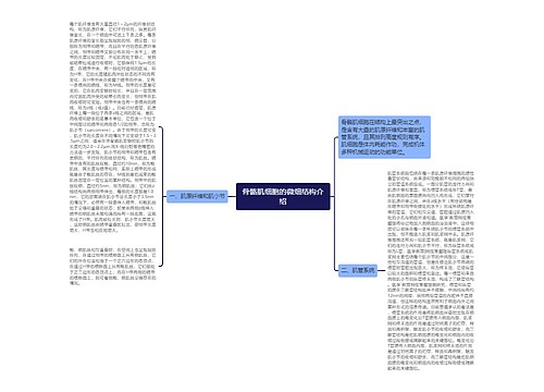 骨骼肌细胞的微细结构介绍