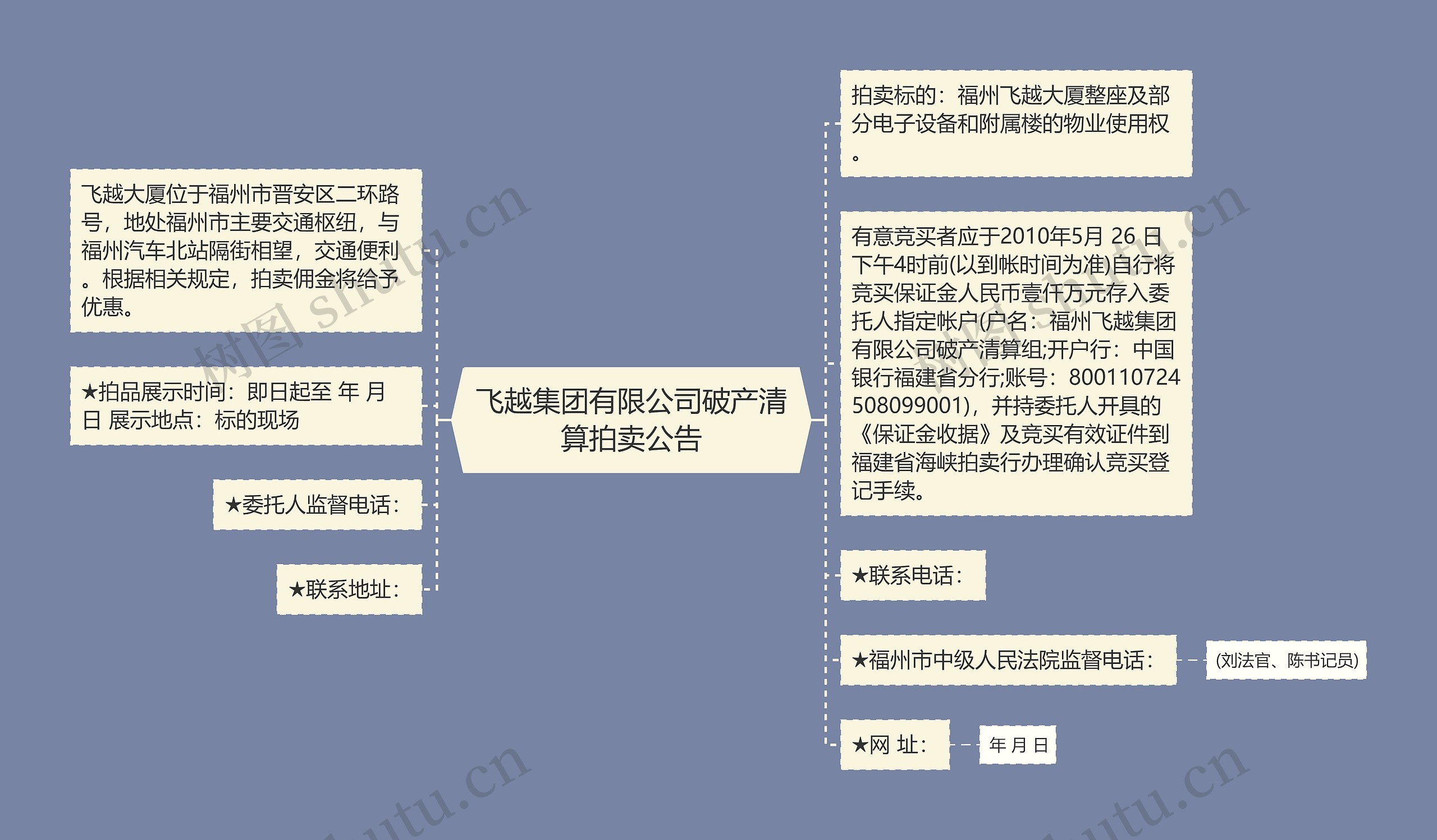 飞越集团有限公司破产清算拍卖公告