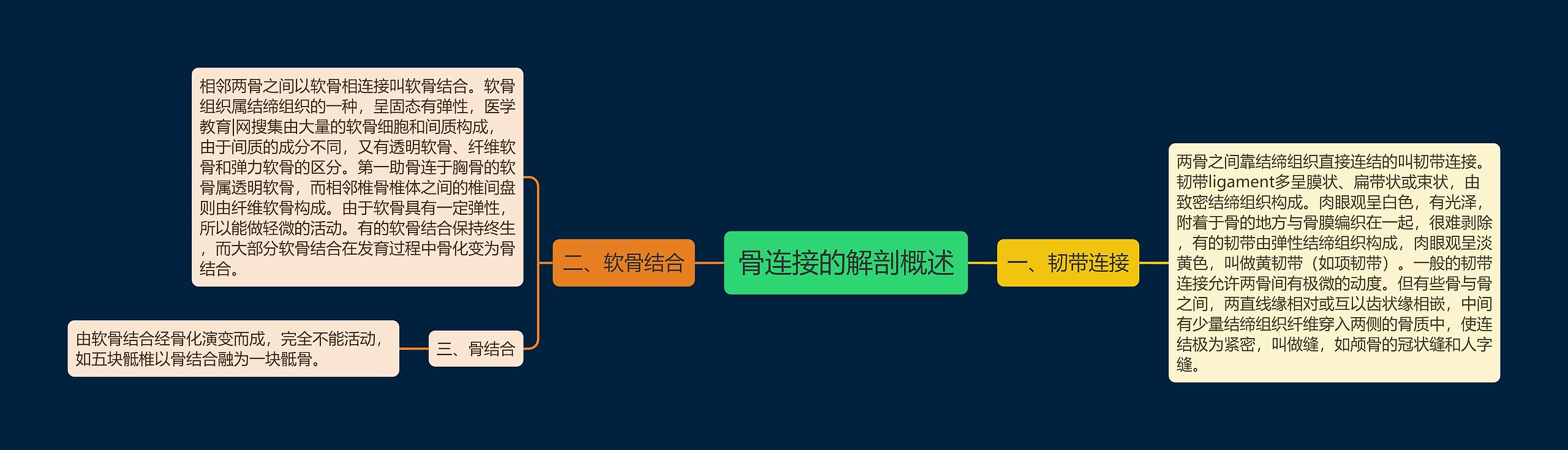 骨连接的解剖概述 骨连接的解剖概述
