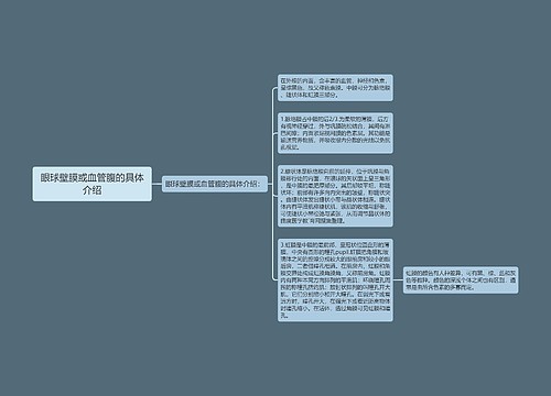 眼球壁膜或血管腹的具体介绍