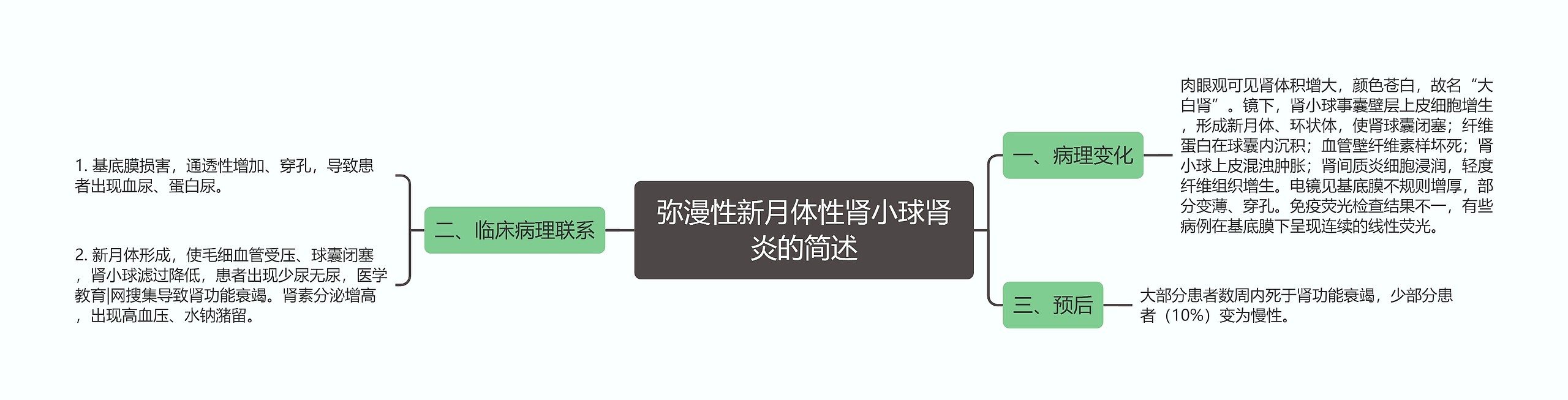 弥漫性新月体性肾小球肾炎的简述思维导图