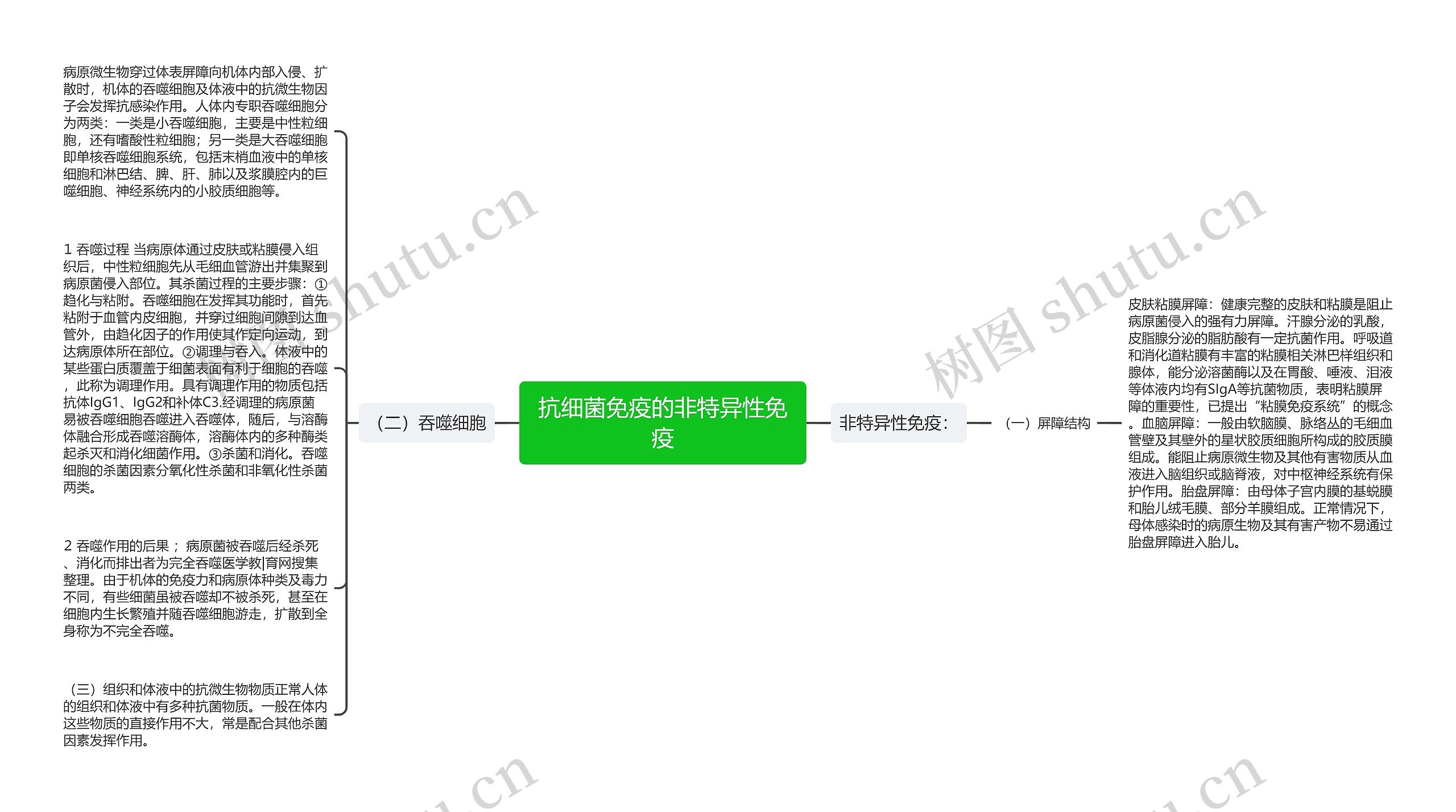 抗细菌免疫的非特异性免疫思维导图