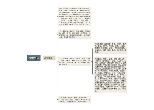 颅骨组成