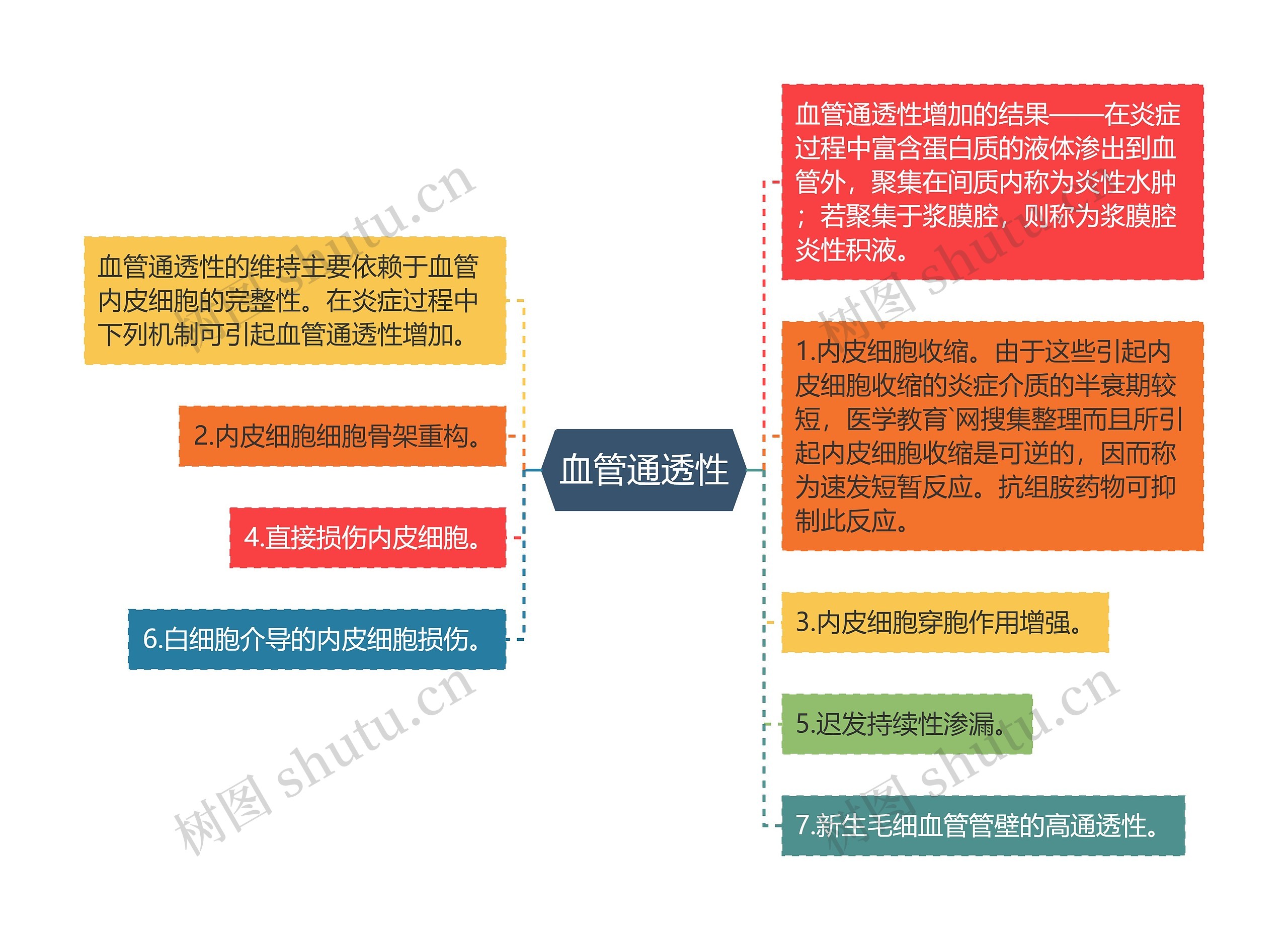 血管通透性思维导图