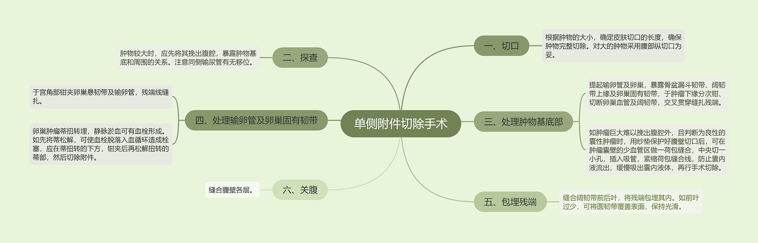 单侧附件切除手术思维导图