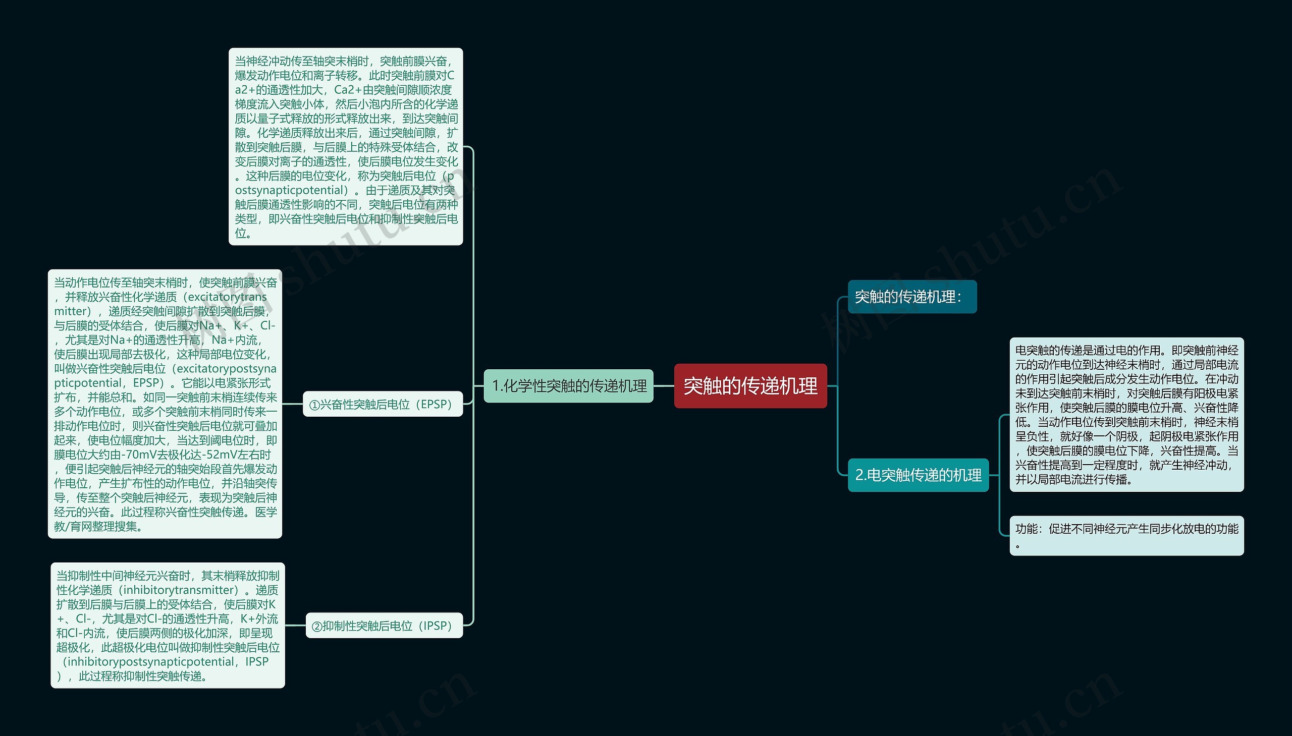 突触的传递机理思维导图
