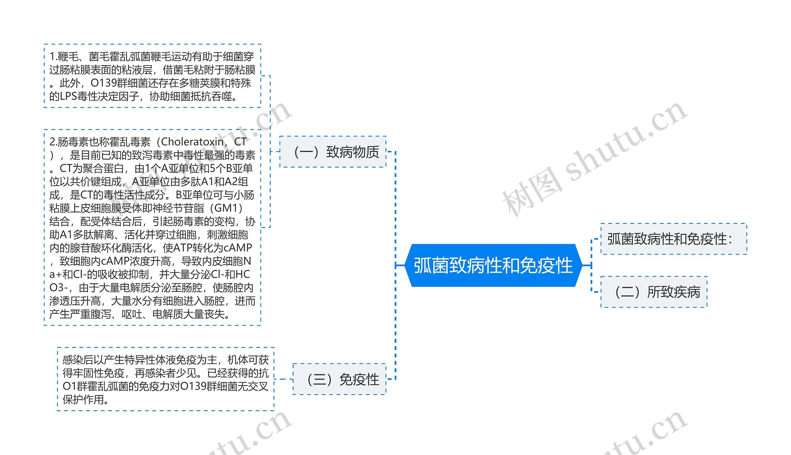 弧菌致病性和免疫性 弧菌致病性和免疫性