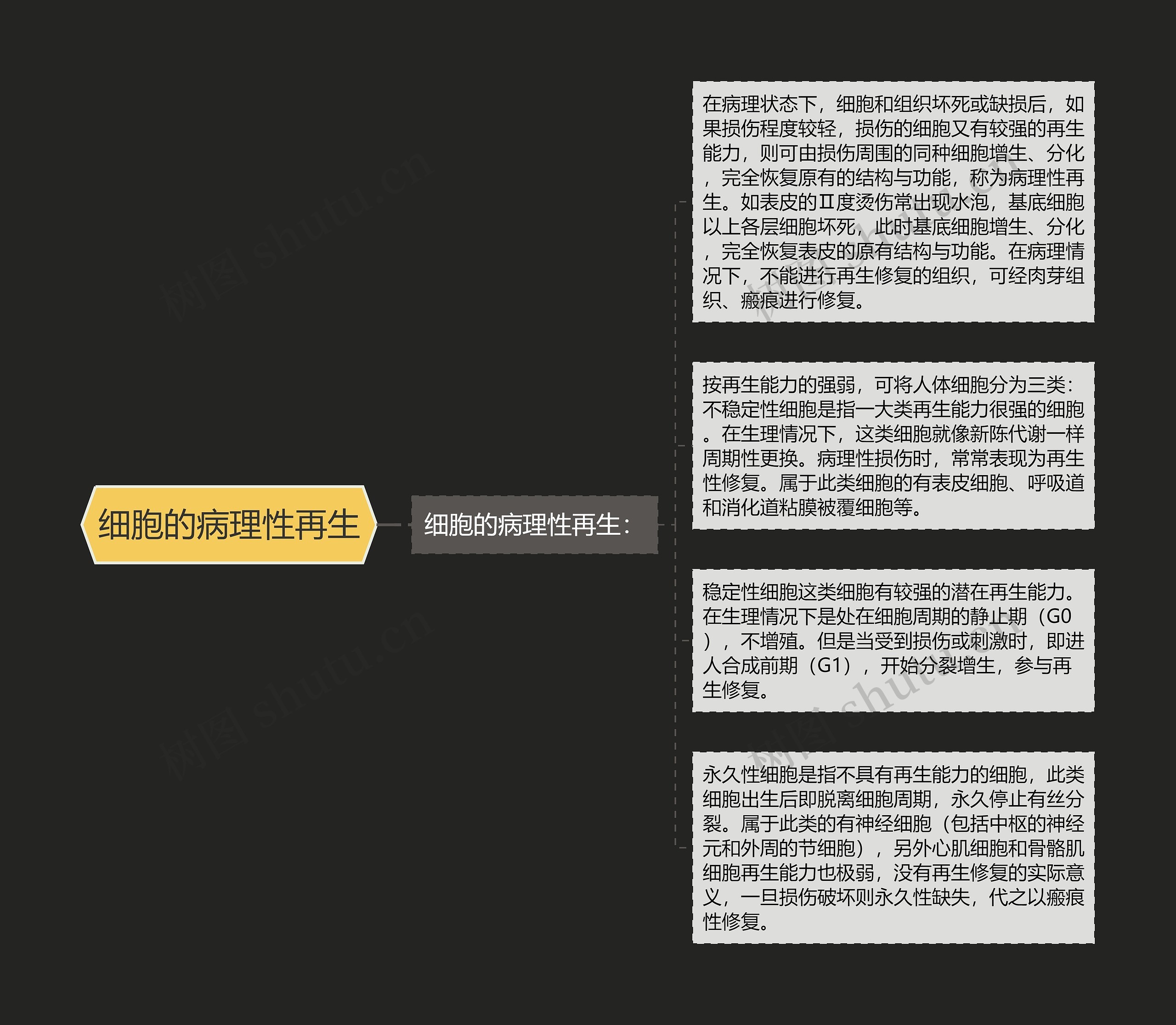 细胞的病理性再生 细胞的病理性再生