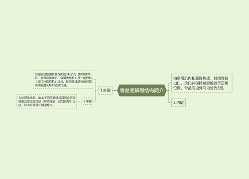 骨盆底解剖结构简介