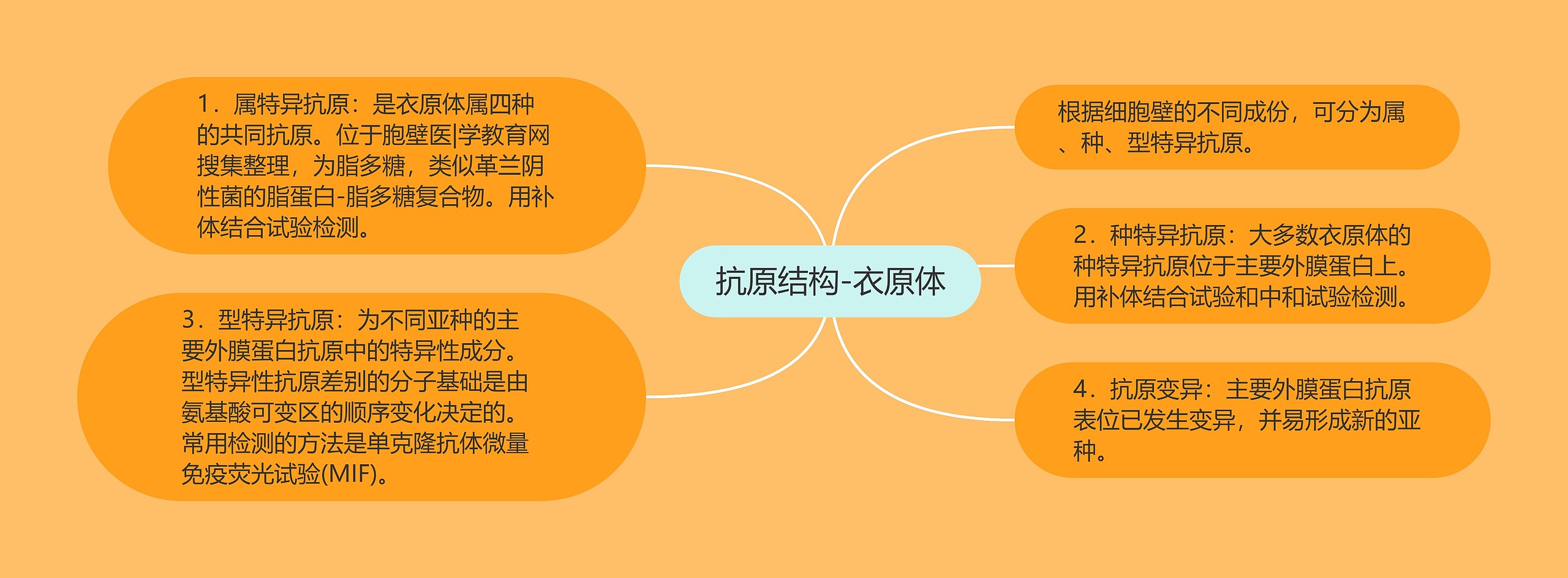 抗原结构-衣原体 抗原结构-衣原体