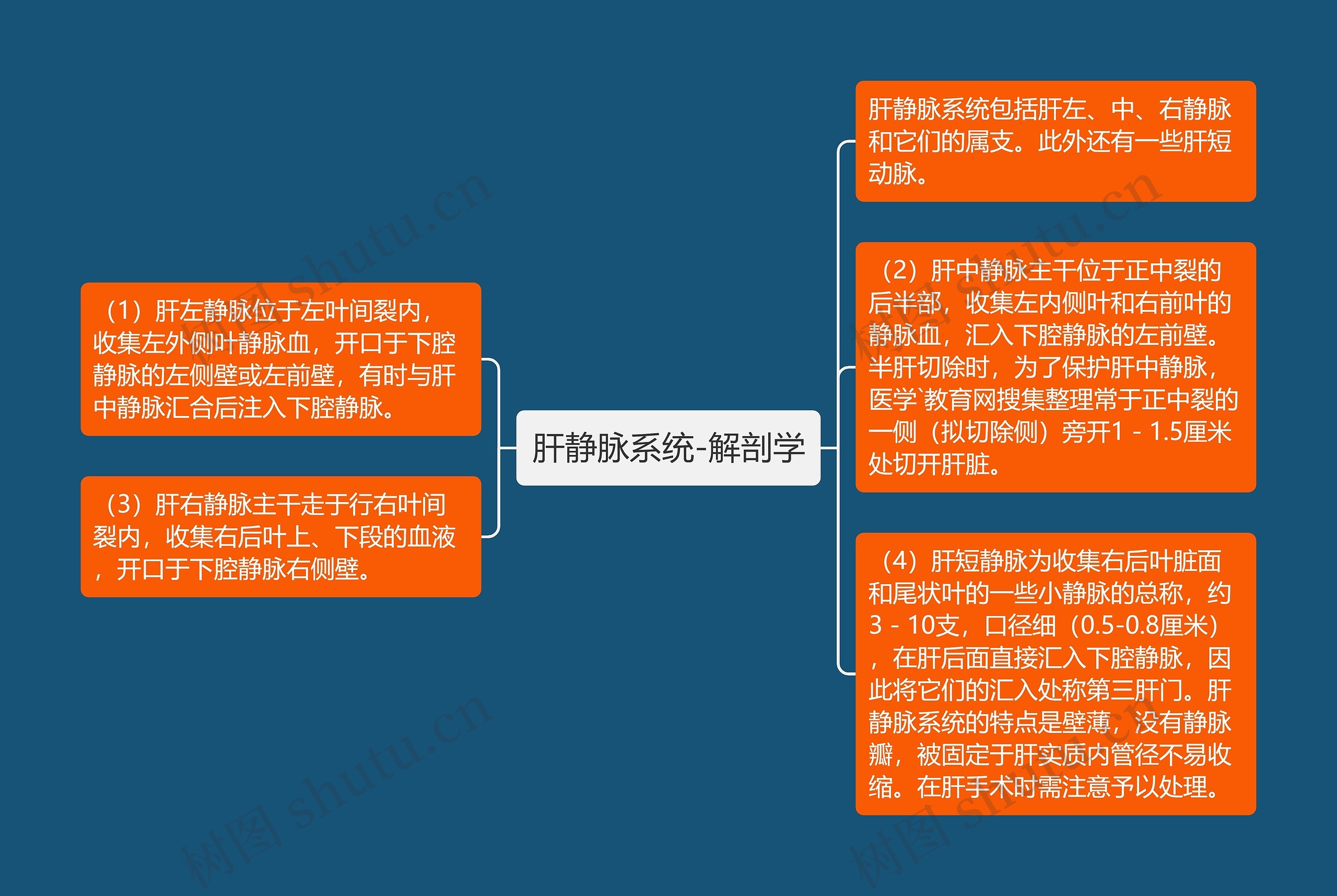 肝静脉系统-解剖学 肝静脉系统-解剖学