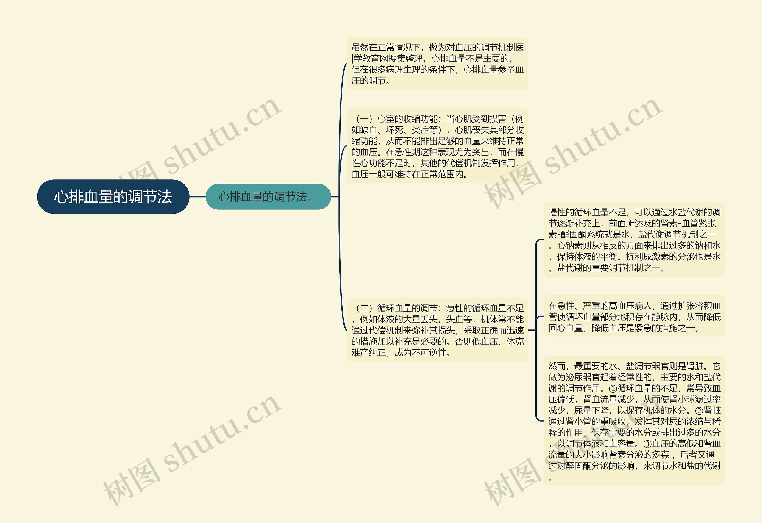 心排血量的调节法思维导图