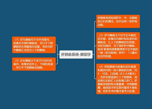 肝静脉系统-解剖学