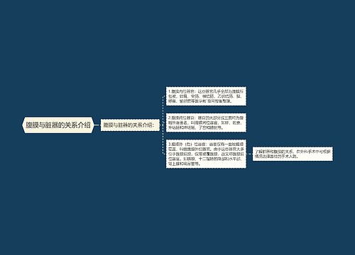 腹膜与脏器的关系介绍