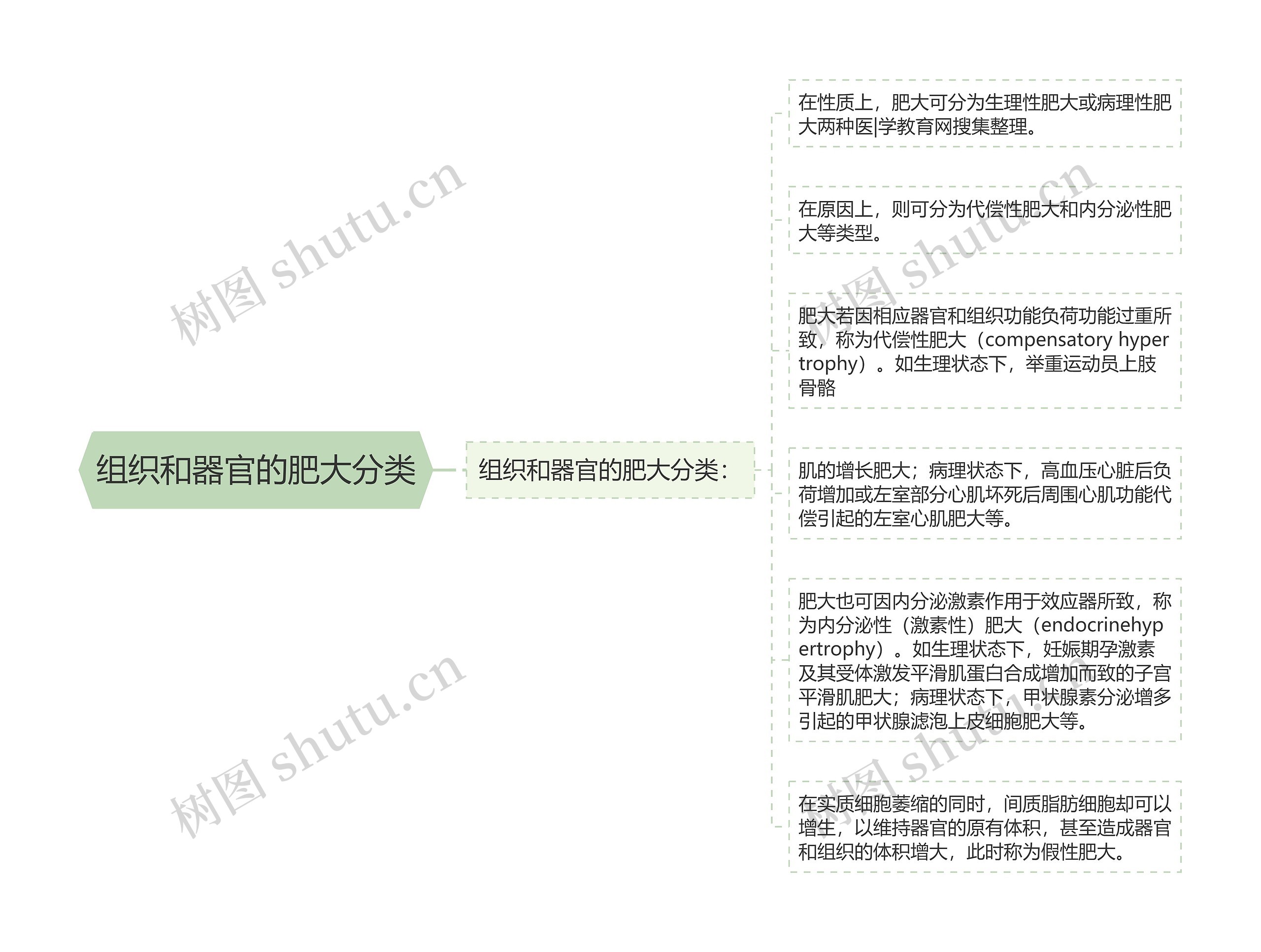 组织和器官的肥大分类思维导图