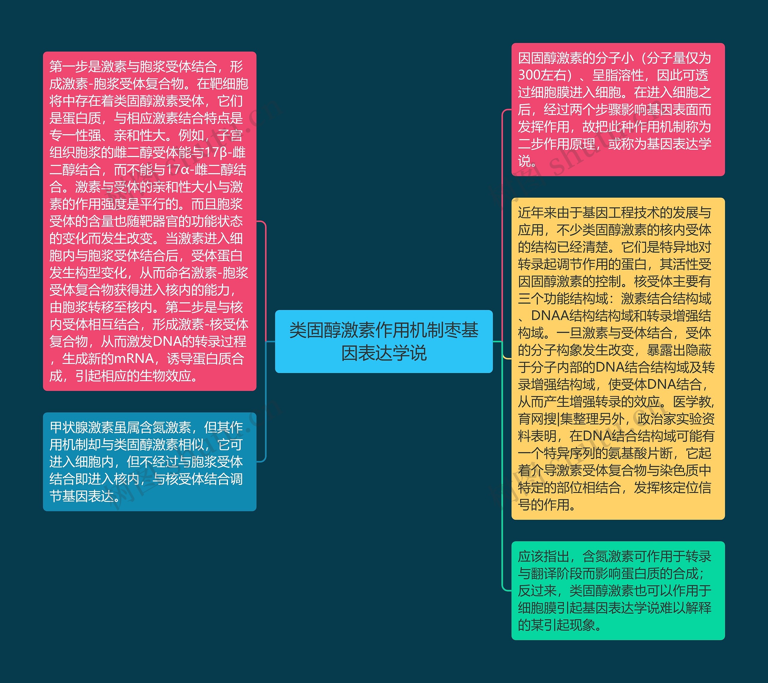 类固醇激素作用机制枣基因表达学说