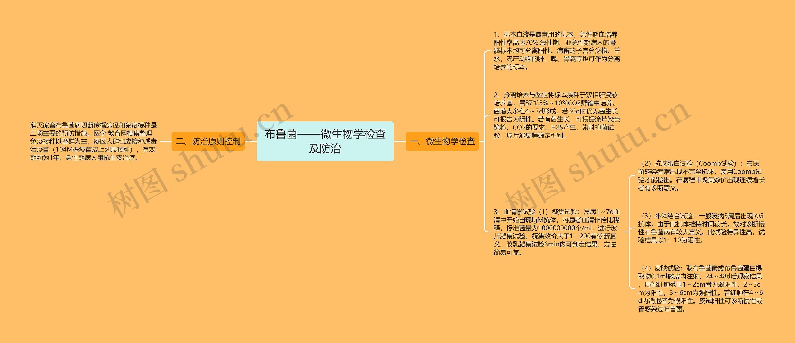 布鲁菌——微生物学检查及防治思维导图