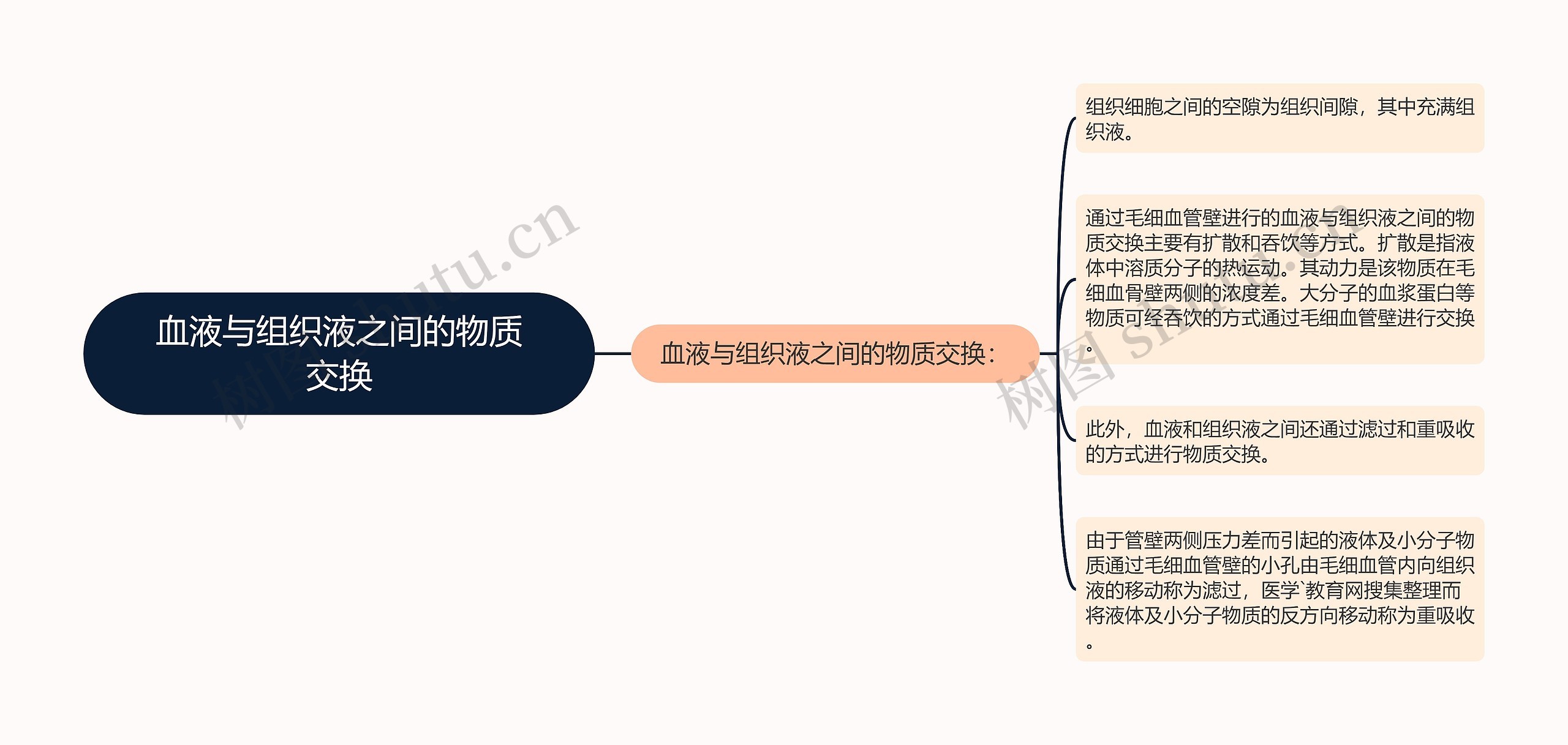 血液与组织液之间的物质交换思维导图