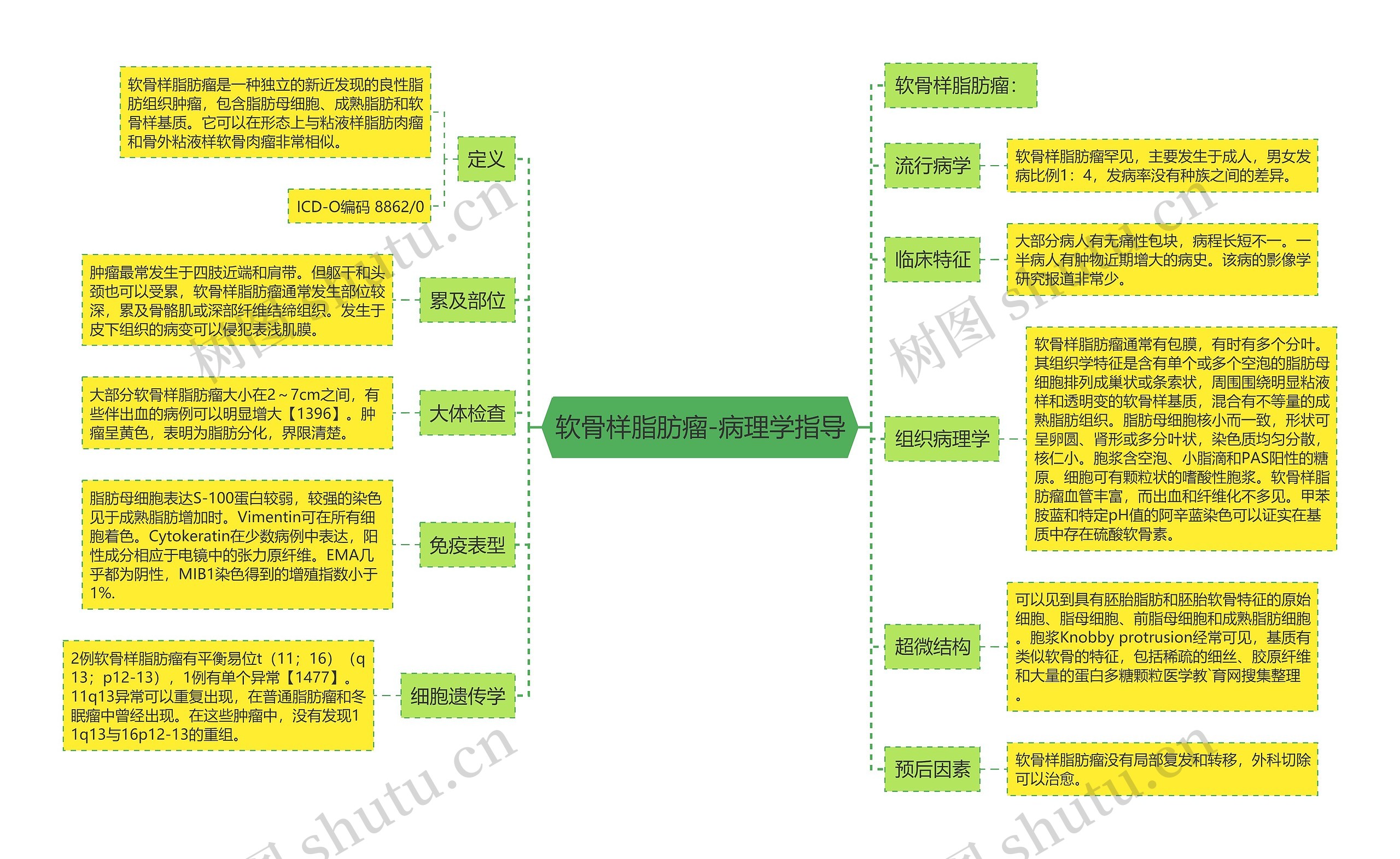 软骨样脂肪瘤-病理学指导 软骨样脂肪瘤-病理学指导