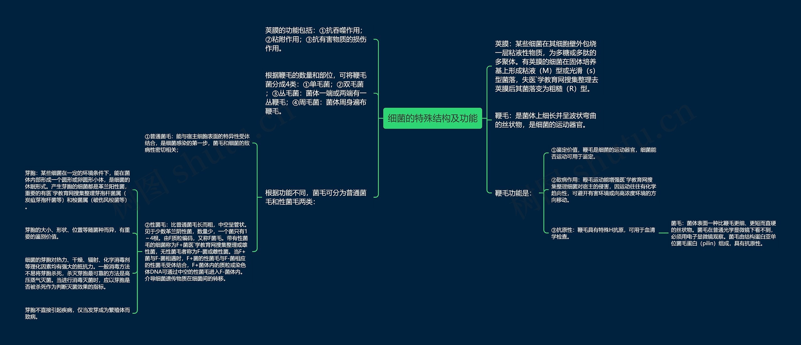 细菌的特殊结构及功能