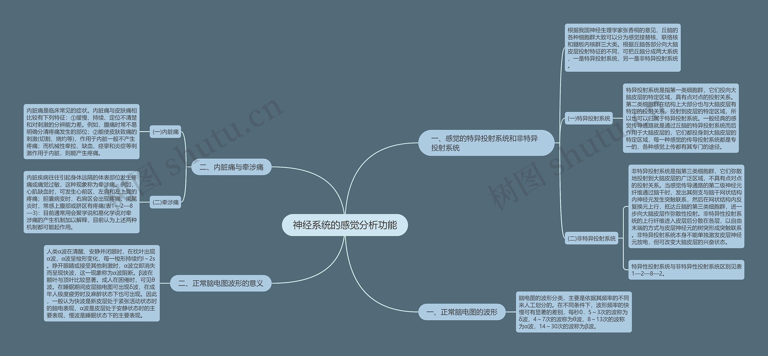 神经系统的感觉分析功能 神经系统的感觉分析功能
