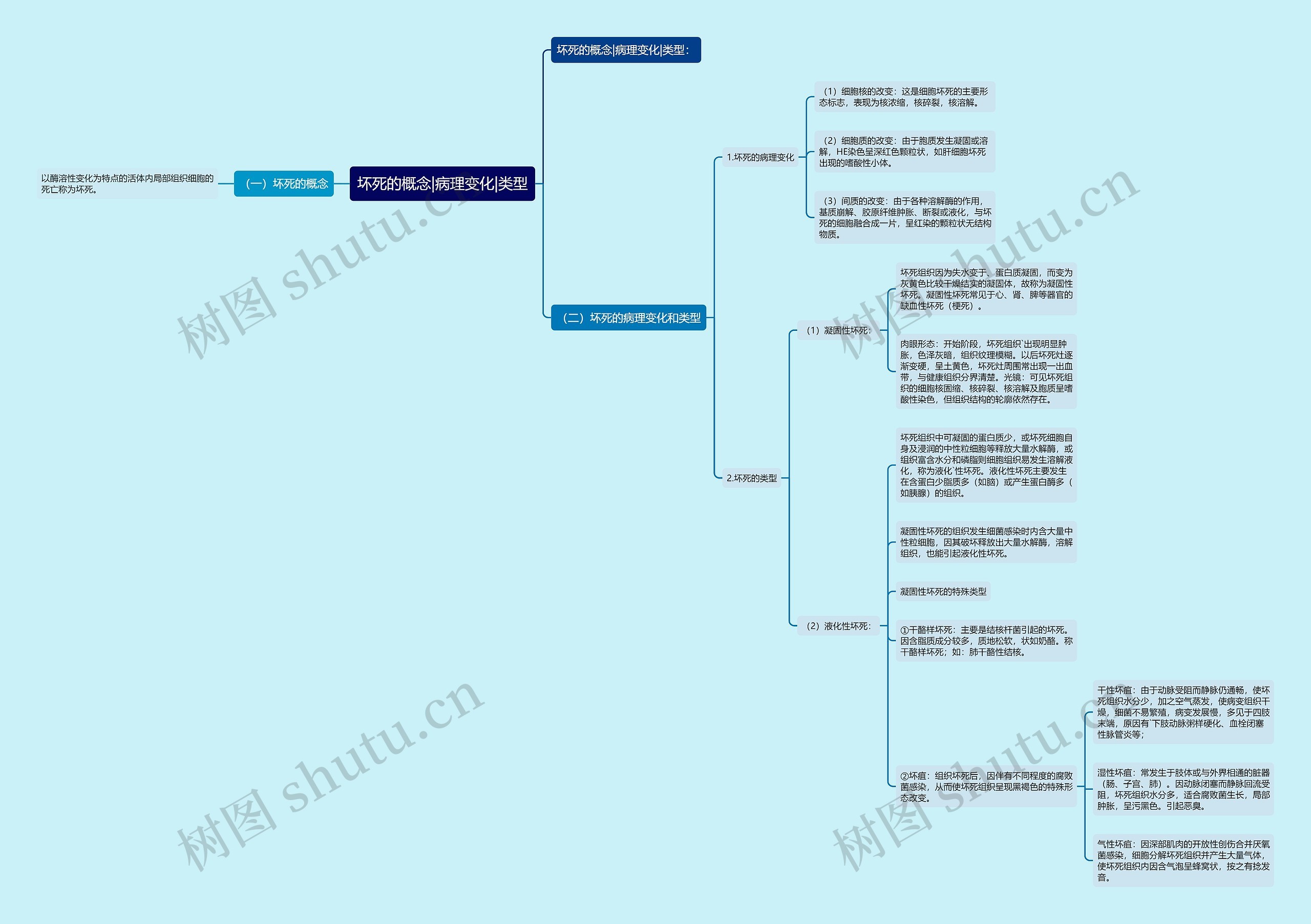 坏死的概念|病理变化|类型思维导图