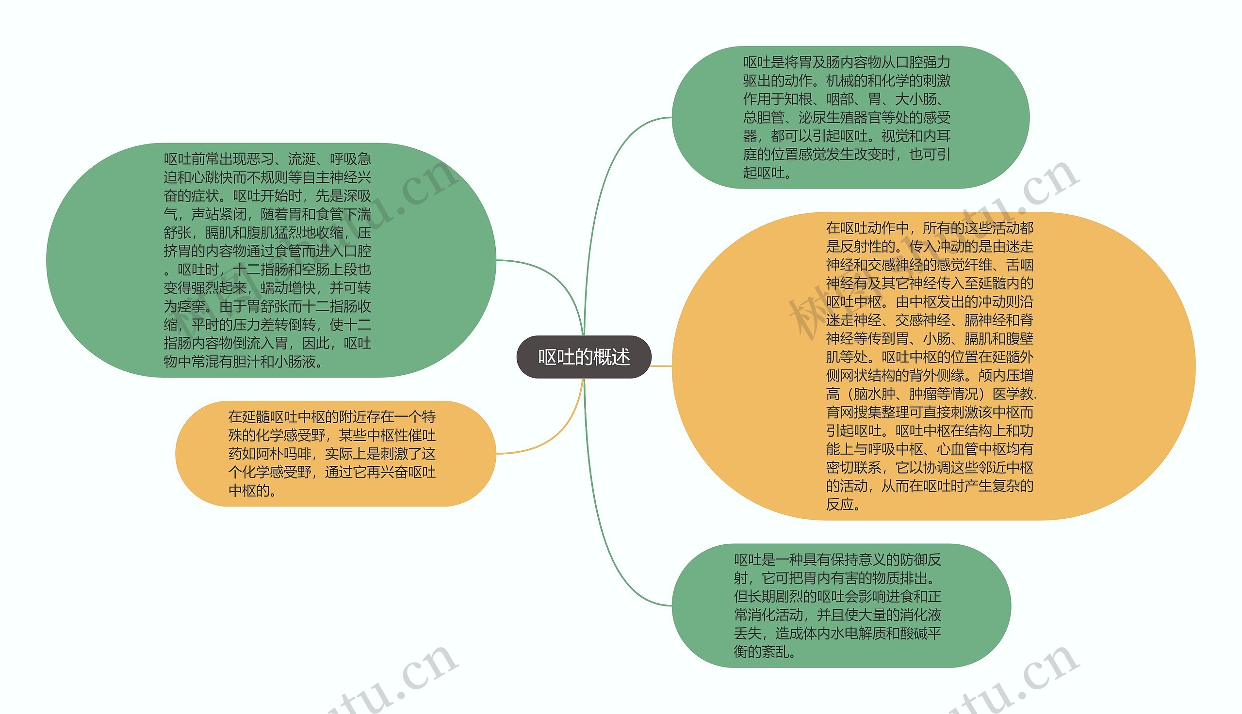 呕吐的概述思维导图