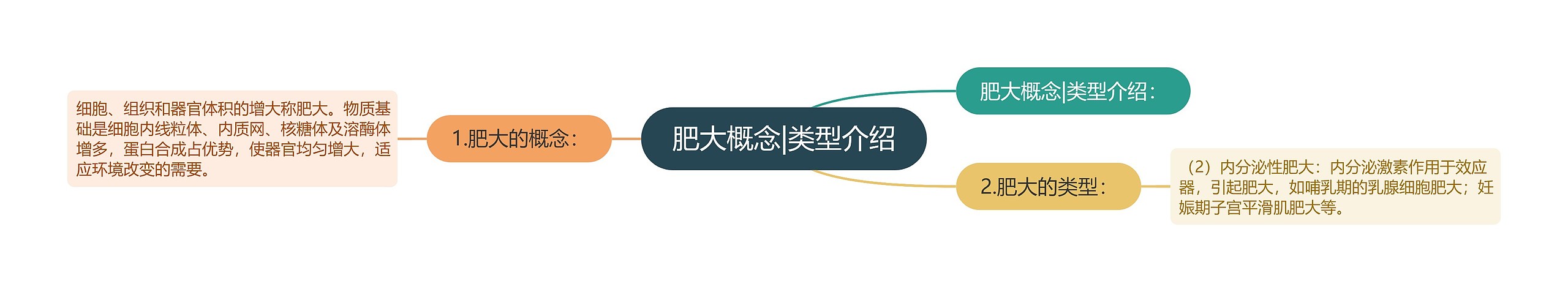 肥大概念|类型介绍 肥大概念|类型介绍